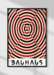 bauhaus-1893